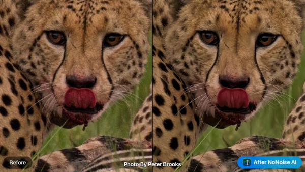 高性能处理引擎